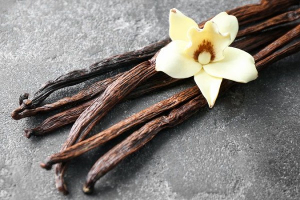 Inilah Jenis-Jenis Vanili Yang Dapat Anda Temukan