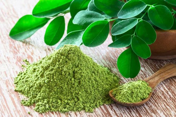 Mencegah Berbagai Macam Masalah Kesehatan Dengan Daun Kelor