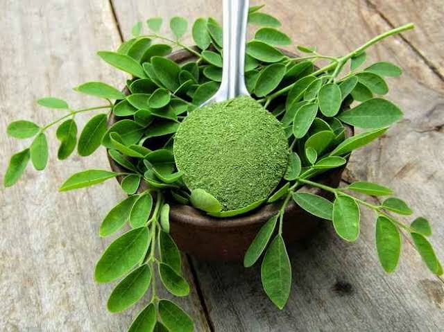 Tips Memanfaatkan Daun Kelor