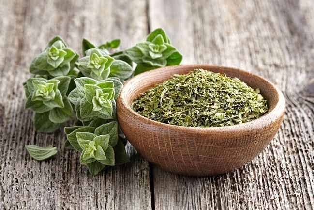 Oregano, Bumbu Khas Mediterania Penuh Manfaat Kesehatan