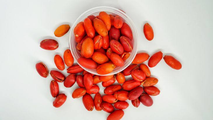 Manfaat Melinjo Untuk Kesehatan Tubuh