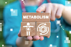 Cara Alami Meningkatkan Metabolisme Anda