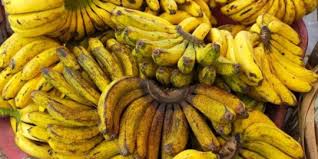 Pisang-Pisang Populer Dari Indonesia