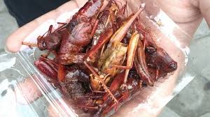 Inilah Dia Kuliner-Kuliner Unik Yogyakarta Yang Menjadi Tujuan Wisata Kuliner