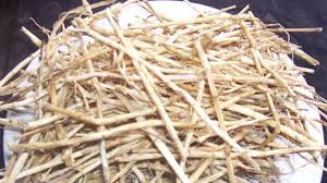 Kegunaan Alang-Alang Untuk Kesehatan Anda