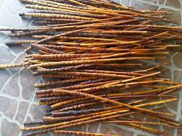 Berbagai Jenis Bambu Yang Dapat Anda Temukan Di Indonesia