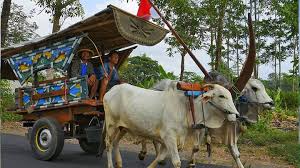 Berbagai Transportasi Unik Indonesia