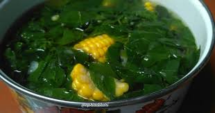 Resep Sayur Daun Katuk Untuk Nutrisi Makan Siang Anda