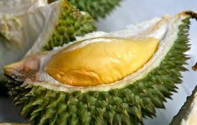 Durian, Buah Terlezat Di Dunia