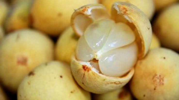 Buah Asli Asia Tenggara Ini Sangat Kaya Nutrisi