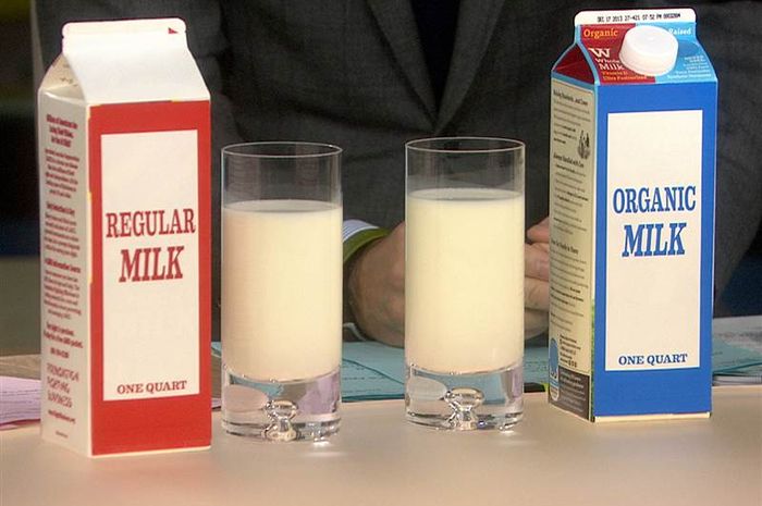 Apa Itu Susu Organik? Berikut Penjelasannya