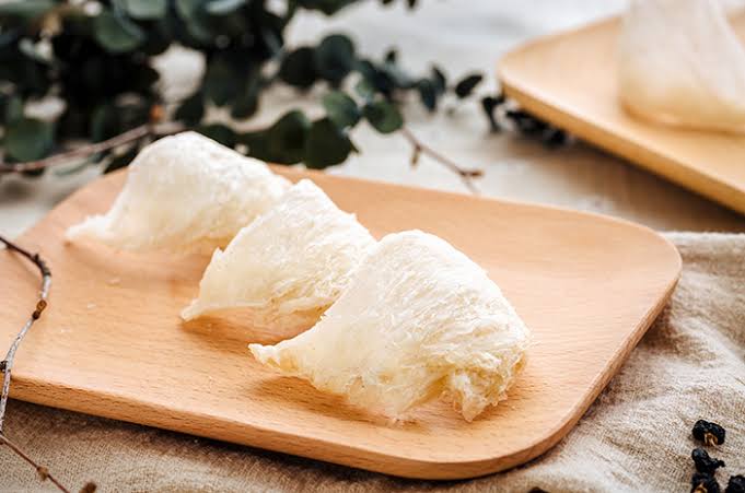 Manfaat Sarang Burung Walet Untuk Pengobatan