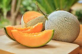 Manfaat Kesehatan Buah Melon