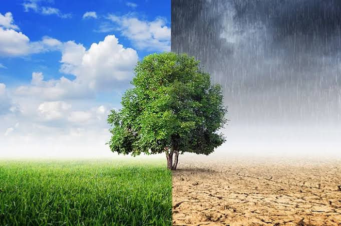 Makanan-Makanan Yang Cocok Dikonsumsi Ketika Pancaroba