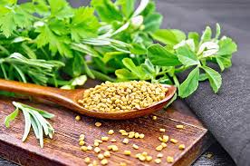 Fenugreek, Tanaman Herbal Penuh Manfaat Kesehatan