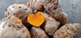 Memiliki Banyak Manfaat, Perkenalkan: Temulawak