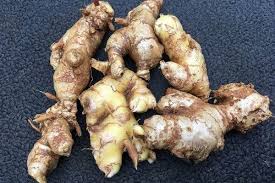 Lempuyang, Tanaman Herbal Kaya Manfaat Kesehatan