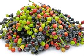 Buah Buni, Segar, Sehat, Penuh Manfaat