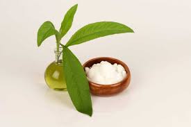 Jaga Keseimbangan Nutrisi Anda Dengan Menjaga Asupan Makanan