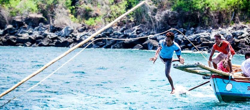 Tradisi Berburu Paus Yang Kini Menjadi Kontroversi