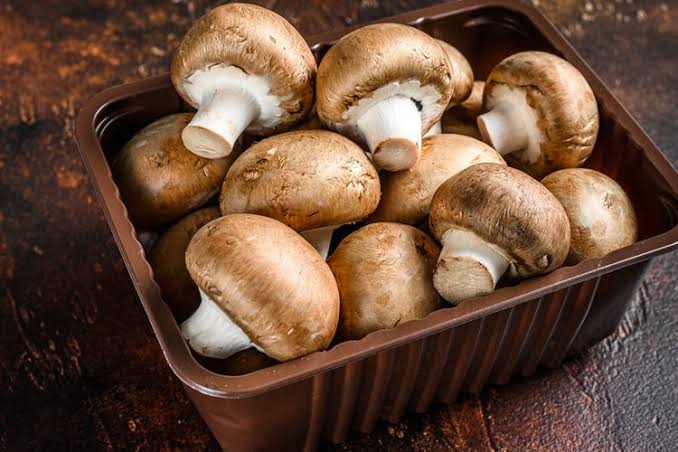 Mengapa Memasukkan Jamur ke dalam Menu Makanan Anda?