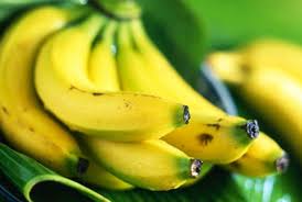 Jangan Lupa Makan Pisang, Ini Dia Jenis Pisang Yang Disukai Masyarakat Indonesia