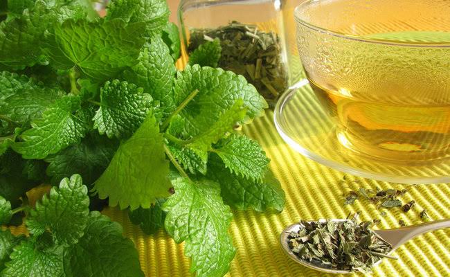 Pandemi Masih Berlangsung, Konsumsi Teh Herbal Ini Untuk Kesehatan Anda