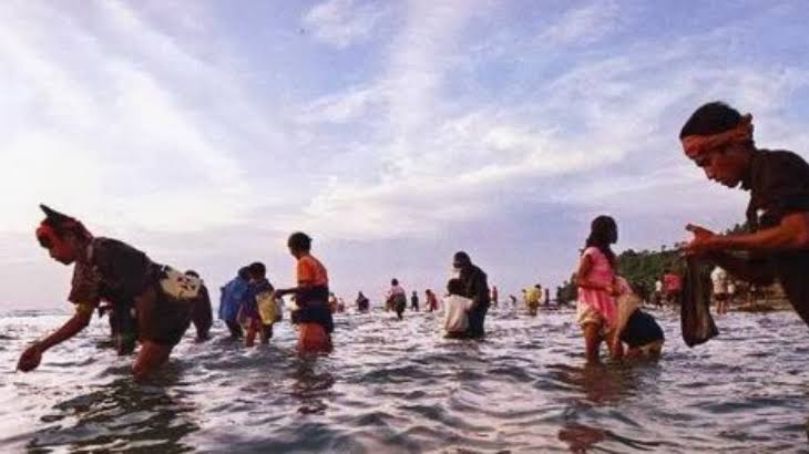 Bau Nyale, Tradisi Menangkap Cacing Laut