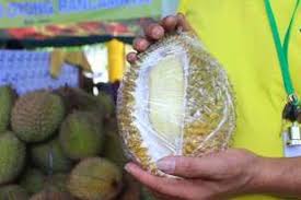 Buah Lezat Dengan Aroma Khas, Inilah Dia Durian
