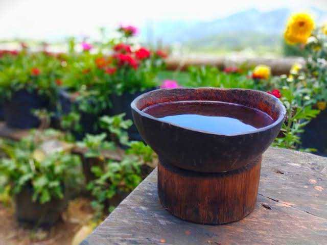 Kawa Daun, Minuman Daun Kopi Dengan Sejarah Panjang