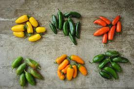 Jenis-Jenis Cabai Yang Wajib Anda Ketahui