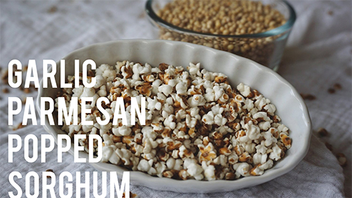 Inilah Kegunaan Sorghum Yang (Mungkin) Belum Anda Ketahui