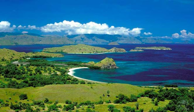 Hutan Kenari, Aset Tersembunyi Pulau Alor