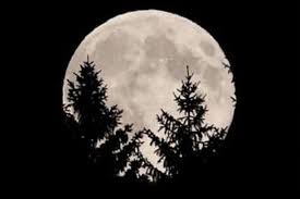 Mulai Dari Wajib Memakai Batu Akik, Sampai Ke Mematikan Lampu Saat Purnama, Berikut Berbagai Aturan Unik Indonesia