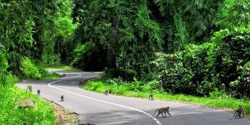 Apabila Pandemi Sudah Berakhir, Anda Dapat Berwisata Ke Tempat Ini
