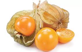 Ciplukan, Buah Ajaib Penuh Manfaat Kesehatan