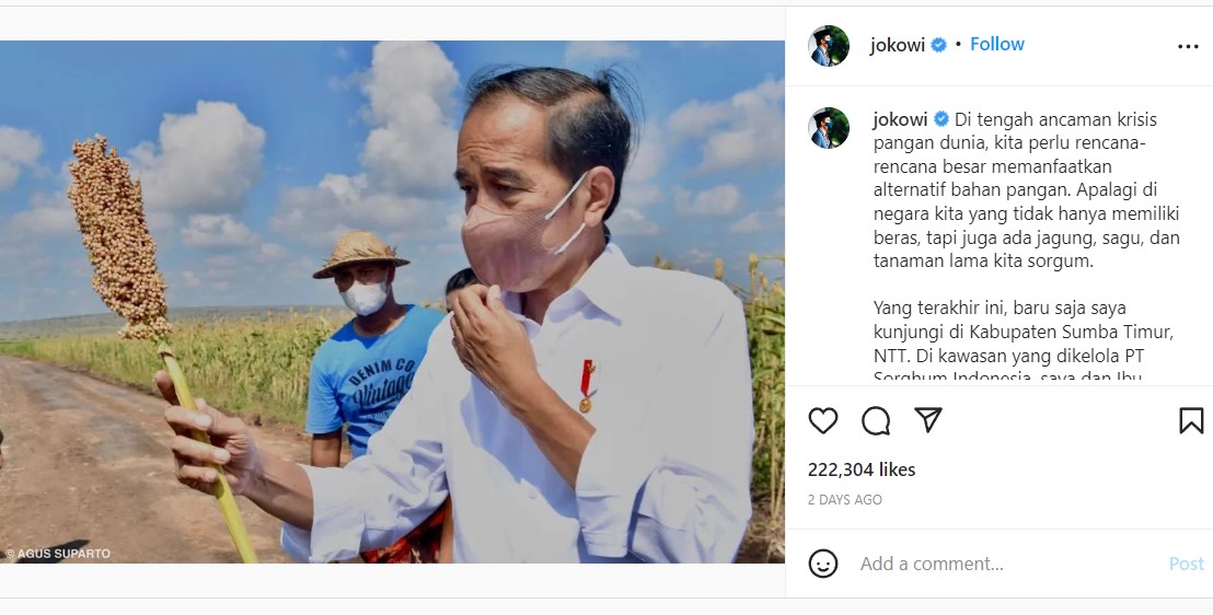 Krisis Pangan Dunia Mengancam, Ini Dia Solusinya