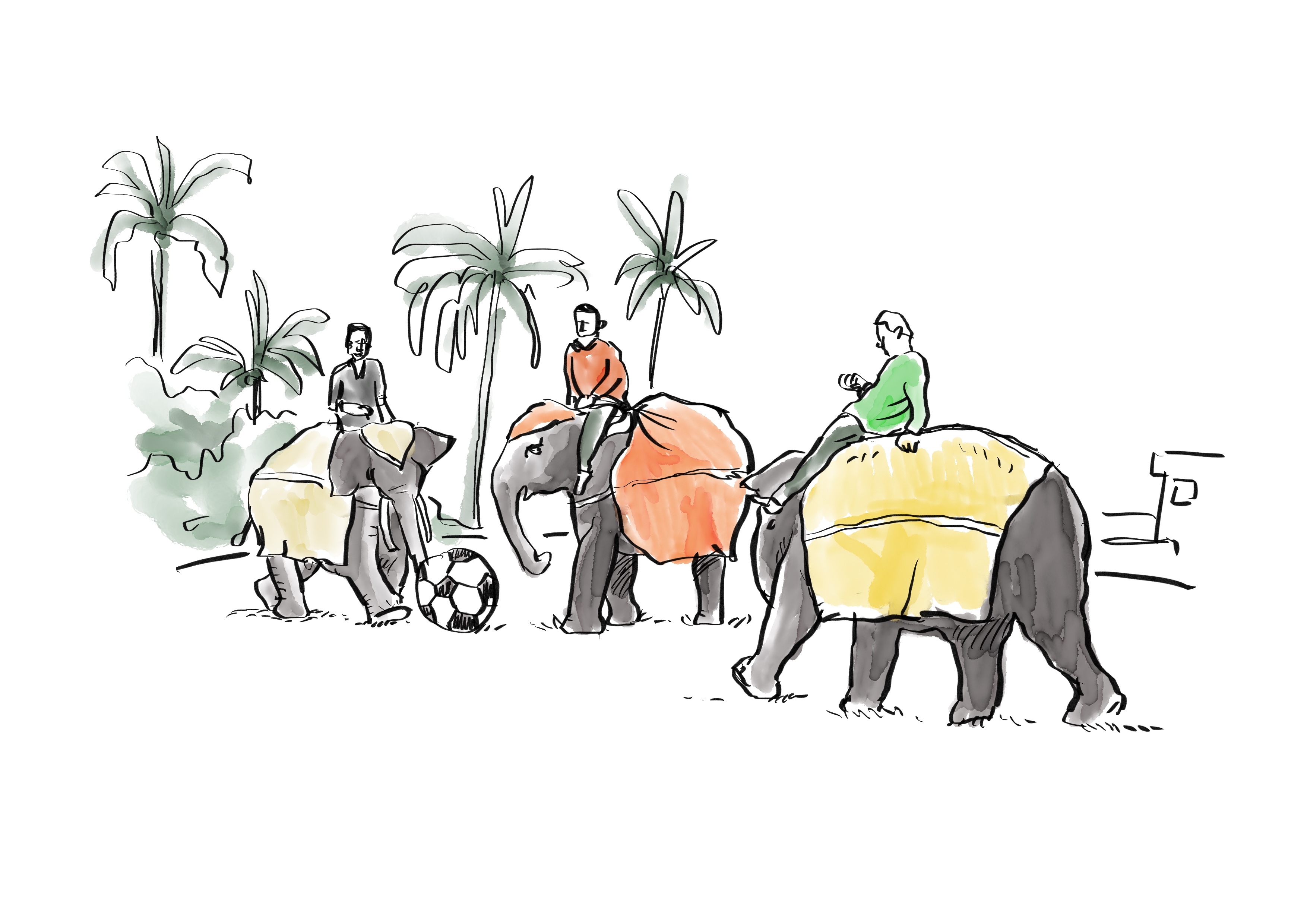 Sepakbola Gajah Yang Ini Sangat Menyenangkan Untuk Dilihat