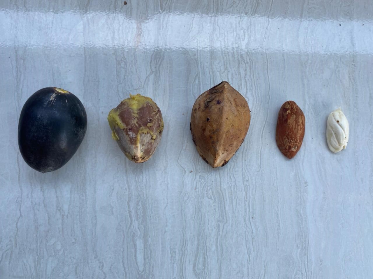 Lebih Sehat Dan Tidak Kalah Lezat, Daftar Alternatif Minyak Goreng Yang Lebih Sehat Untuk Anda