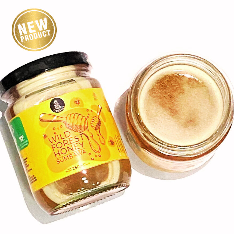 Panduan Memilih Madu Hutan Alami