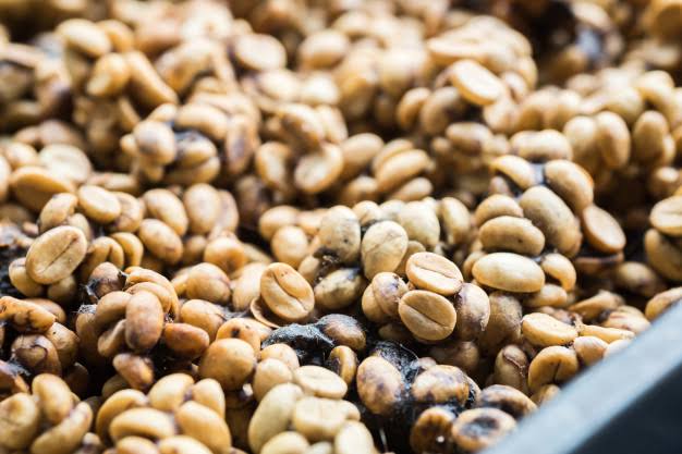 Salah Satu Kopi Termahal Di Dunia Yang Ada Di Indonesia