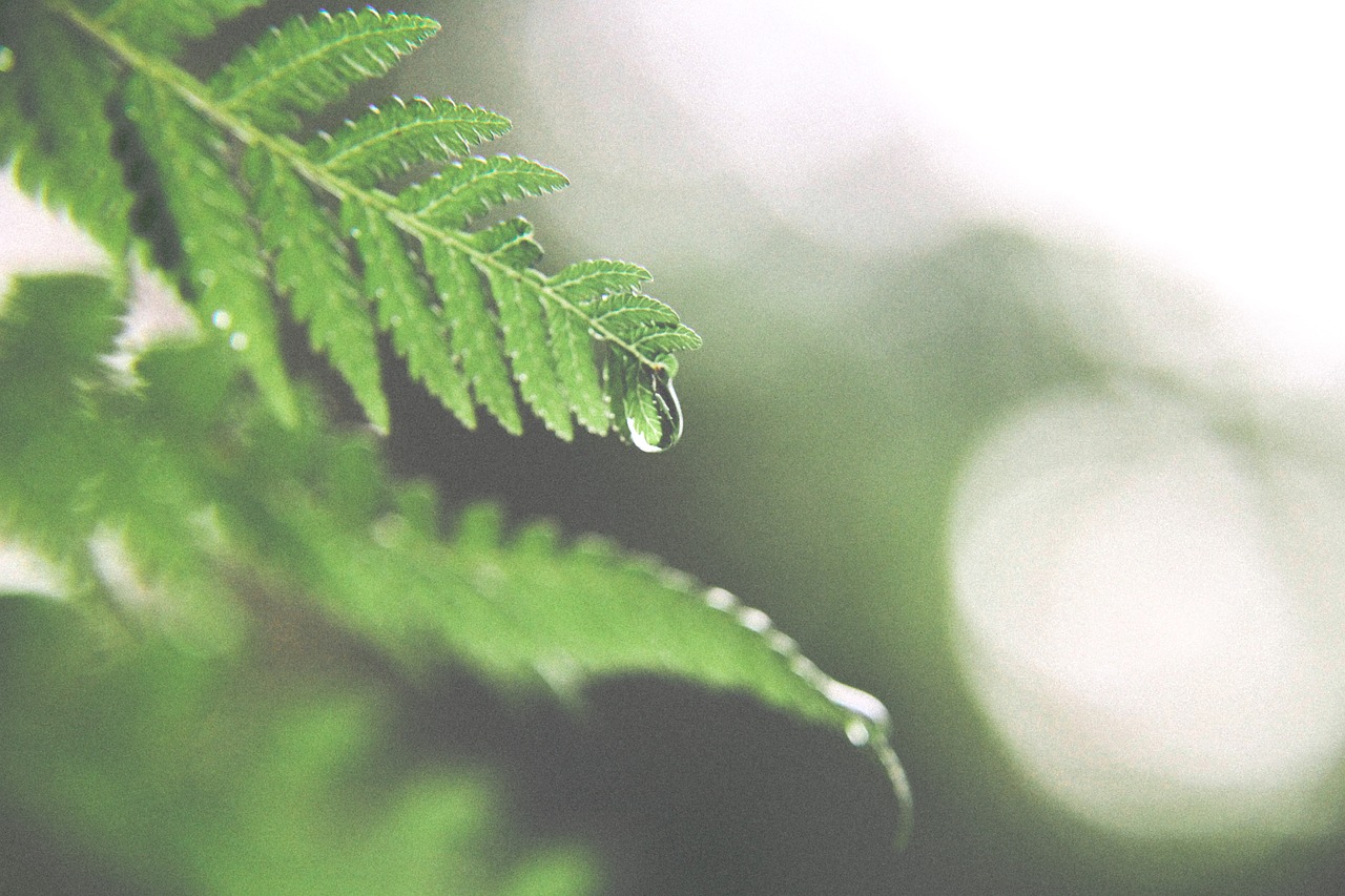 Makanan Organik Anda Berubah Warna? Berikut Penjelasannya