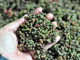 Andaliman, Rempah Khas Sumatra Utara yang Kaya Rasa