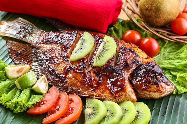 Berbagai Jenis Ikan Laut Yang Dapat Diolah Menjadi Masakan Lezat