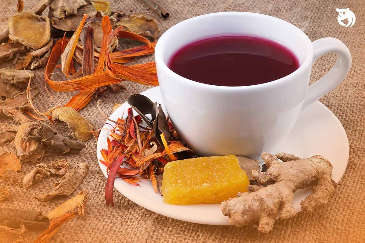 Inilah Dia Minuman-Minuman Lezat Nusantara