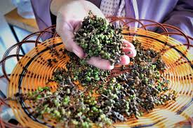 Mi Gomak: Hidangan Pedas Khas Toba yang Sarat Sejarah dan Cita Rasa