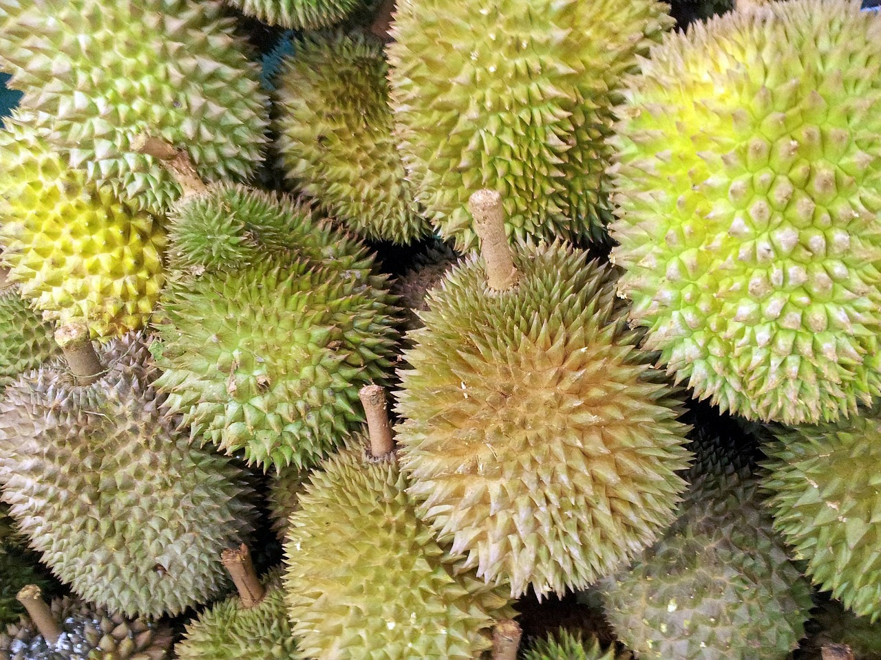 Durian, Buah Eksotis Dengan Banyak Penggemar Dari Seluruh Dunia
