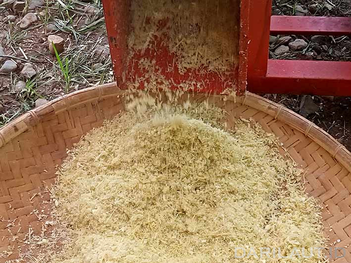Hebat! Pesantren Hubulo Gorontalo Membuat Gula Rendah Kalori Dari Sorgum