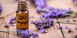 Manfaat Minyak Lavender Untuk Kesehatan Anda